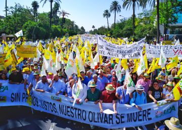 Miles de olivareros andaluces claman en Sevilla por un precio del aceite justo