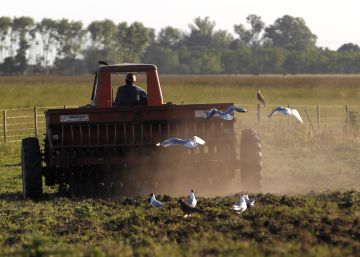 Economia argentina cresce pela primeira vez desde o início da crise