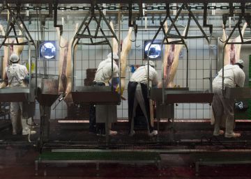 La subida del precio de la carne de cerdo alarma a la industria
