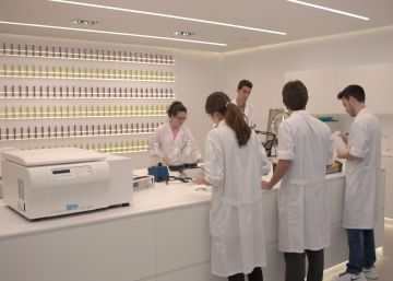 AMC Group: un imperio bajo la viña