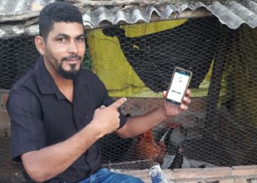A agricultura familiar brasileira encontra o blockchain