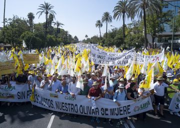 El sector olivarero empieza la campaña con precios hundidos y movilizaciones
