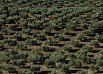 El Banco de España calcula que se perderán 95 millones por los aranceles de EE UU