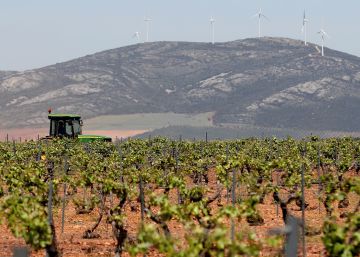 Los afectados por los aranceles de EE UU auguran excedentes y caídas de precios
