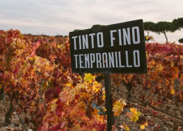 Las bodegas exprimen el tirón del enoturismo