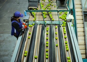 La mesa del desarrollo debe servirse con alimentos inocuos