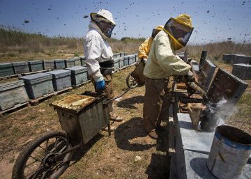 Los consumidores seguirán sin saber el origen de la miel