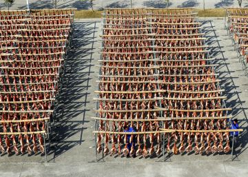 El precio de los alimentos se dispara por la alta demanda y la peste porcina en China