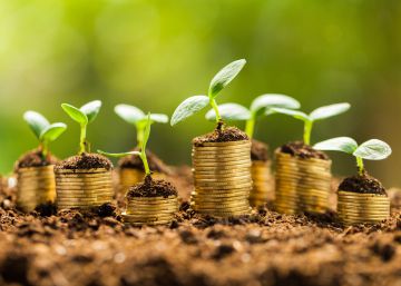 Ser un pequeño inversor en 2020, o “la búsqueda del Santo Grial”