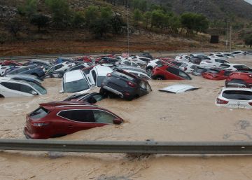 El lado oscuro de los seguros que le ofrecen la pulsera de actividad