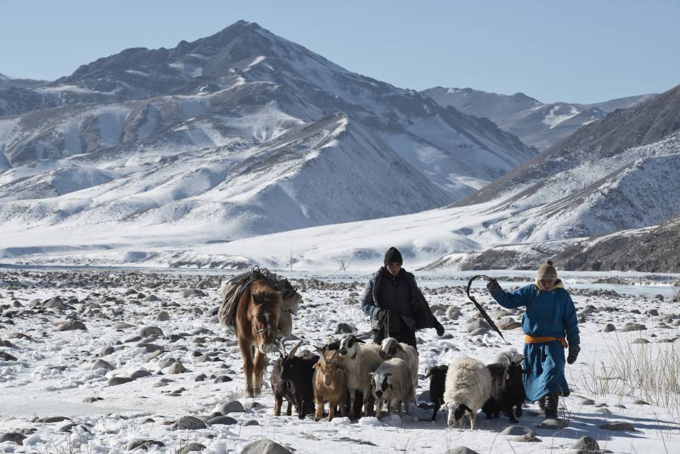 El país de las cabras abriga al mundo