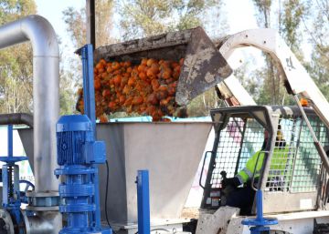 La energía eléctrica de las naranjas