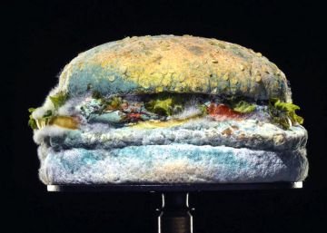 ¿Por qué Burger King ha pasado de anunciar deliciosas hamburguesas a presentar productos mohosos?