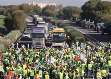 Los agricultores sevillanos consideran Los agricultores sevillanos consideran