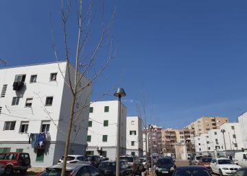 Viviendas en Camp Redó (Palma).