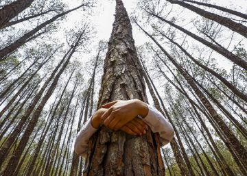 Una transición hacia valores ecológicos