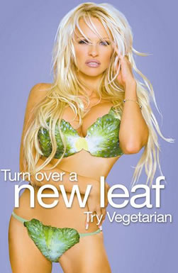 Pamela anderson Pamela anderson