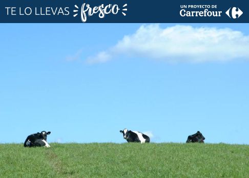 Foto de la noticia