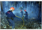 Más de 80 incendios siguen activos en Asturias y Cantabria