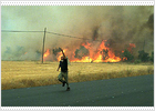 Gallardón atribuye a la acción humana el incendio de Patones