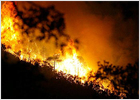 Controlado el incendio en Girona que ha arrasado más de 600 hectáreas de bosque