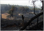 Dos personas mueren carbonizadas en un incendio forestal en Huelva