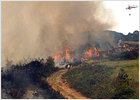 Los incendios obligan a desalojar un pueblo y amenazan otros tres en Ourense