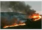 La Xunta afirma que la situación mejora en Galicia aunque hay 44 incendios fuera de control