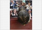 foto de la noticia