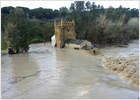 La crecida del Guadalquivir pone en alerta a tres provincias andaluzas