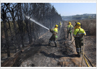 Un incendio obliga a desalojar a 300 personas de un cámping del municipio de Xàbia