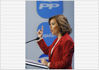 El PP denuncia la El PP denuncia la