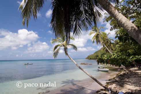Providencia: buscando petróleo en el paraíso