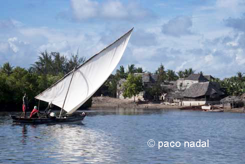 Lamu: la joya secreta de Kenia