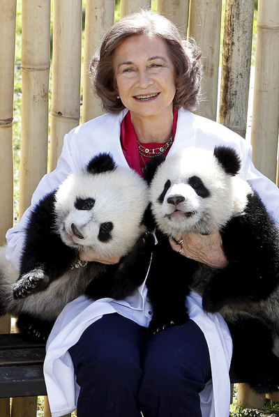 FOTOGALERIA: Primer paseo de las crías de panda