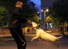foto de la noticia
