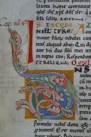 A detail from the codex. A detail from the codex.