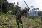 Bolivia's Morales defies US on coca policy