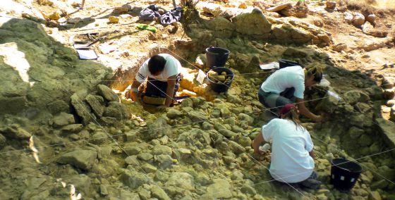 A Neanderthal trove in Madrid