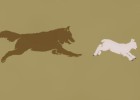 El sueño ilustrado y el Estado-nación