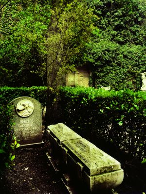The graves of two of the family's dogs, in the grounds of the Liria Palace. The graves of two of the family's dogs, in the grounds of the Liria Palace.