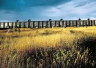 Arquitecturas del globo