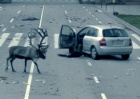 The end of the world starts in Spain
