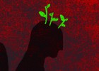 Por una antropología progresista