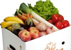 Comprar vegetales online