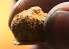 La vida por una pepita de oro La vida por una pepita de oro