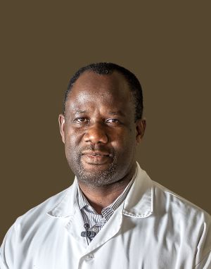 Malaria, laboratorio africano