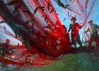 Pesca en aguas profundas: cuando la ciencia tiene qué decir