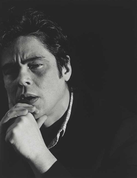 Benicio del Toro