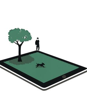 Confianza, base del nuevo capitalismo